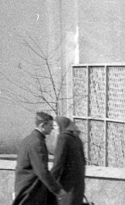 Прикрепленное изображение: zabor.jpg